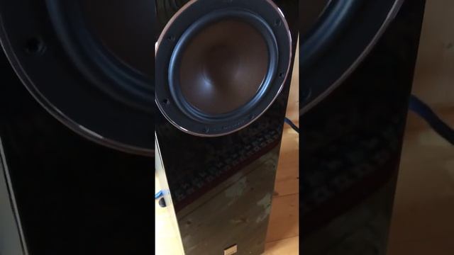 Dali opticon 6 / cambridge cx смотреть онлайн