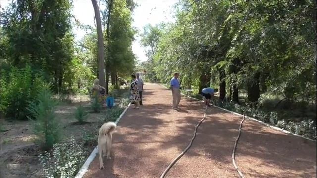 Прогулка по парку в поселке Пятиморск 06.09.2016г. смотреть онлайн