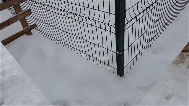 #huskiesterra, #husky, #хаски Веселые игры в снегу смотреть онлайн