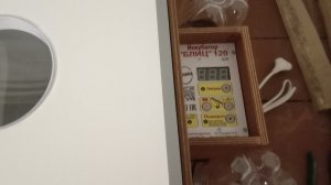 Инкубатор Блиц 120-Ц10 обзор//Какой инкубатор лучше Несушка или Блиц