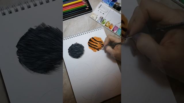 Как рисовать шесть животных. смотреть онлайн