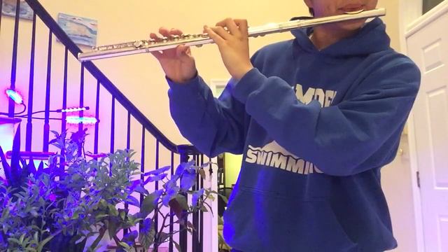 “Heartache” from Undertale (flute) 💔🔥 смотреть онлайн