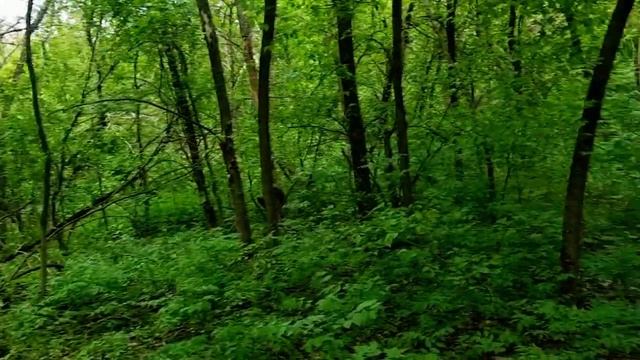 САМВЕЛ АДАМЯН НОВАЯ ПЕСНЯ ОКЕАН. ОТЗЫВ НА ПЕСНЮ. САМАЯ ЧЕСТНАЯ КРИТИКА