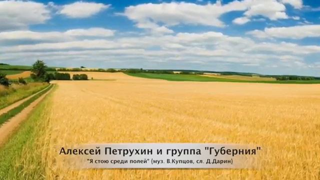 Я стою среди полей. Алексей Петрухин и гр Губерния смотреть онлайн