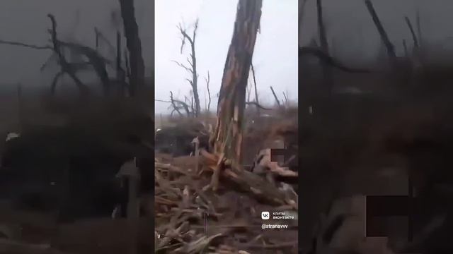 Русский солдат пожал руку пленному украинцу, чтобы тот не боялся смотреть онлайн