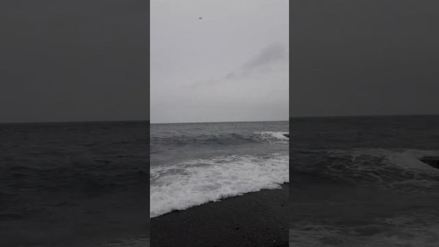 Сочи море февраль 2020 смотреть онлайн
