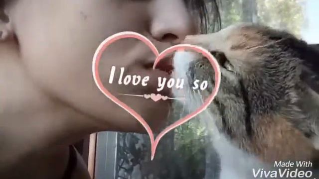 Самый нежный поцелуй смотреть онлайн