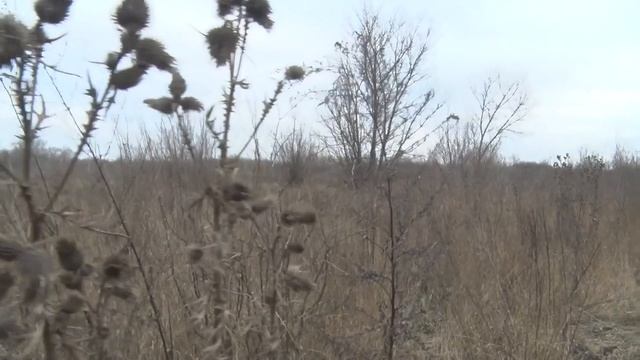 Зарастание земель сельхоз назначения смотреть онлайн