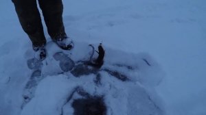 ЗИМНИЙ  НАЛИМ   II часть