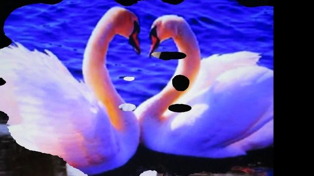 Летите лебеди-летите смотреть онлайн