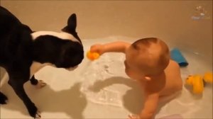 Смешные Малыши! Дети и Животные