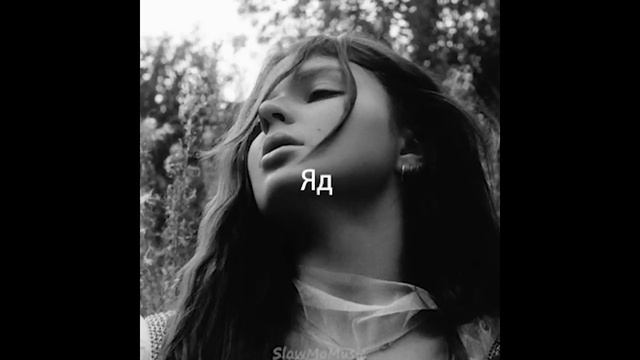 Erika Lundmoen - Яд (Slowed & Reverb) 1 hour loop смотреть онлайн