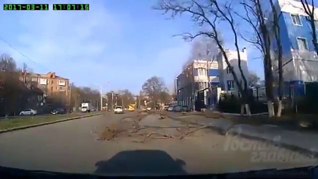 Упало дерево на ул Раздорской 11 3 2017 Ростов на Дону Главный смотреть онлайн