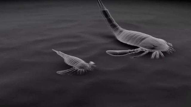 Что если мы жили в Девонский Период, задолго до Динозавров? смотреть онлайн