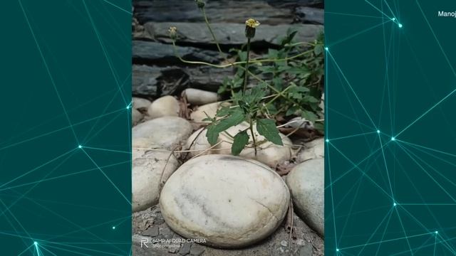 Realme 7 Review : MediaTek Helio G95 Ka Sach ?? ?? смотреть онлайн