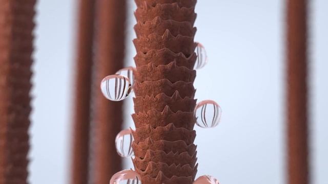 Стабильный результат окрашивания уже 50 лет! смотреть онлайн