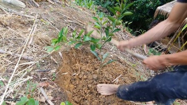 Joy From Pets, Building Life, Episode 28