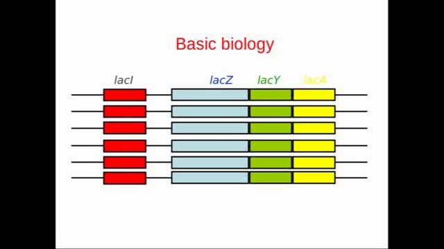 Genome Annotation смотреть онлайн