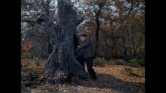 На случай важных переговоров. Сказка о потерянном времени. Если ты в дупло залез смотреть онлайн