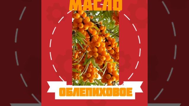 ОБЛЕПИХОВОЕ МАСЛО смотреть онлайн