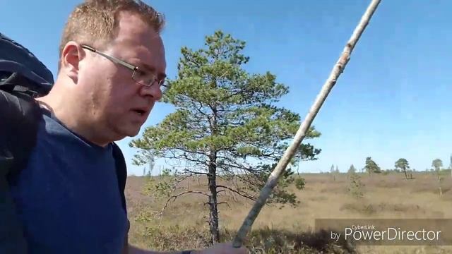 Пьем воду из болота. Ельня Беларусь - пеший поход по одному из самых больших болот Европы. смотреть онлайн