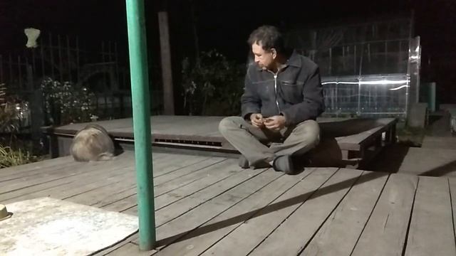 Дачный барсук. Приручение #28 Заключительная серия смотреть онлайн