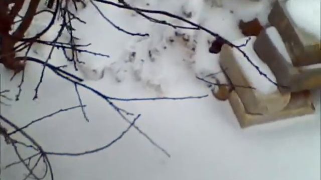 Котово Волгоградская обл - город в котором каждый выживает как может, каждый сам по себе. смотреть онлайн