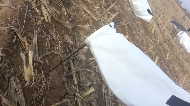 Как играют на ветру чучела гусей смотреть онлайн