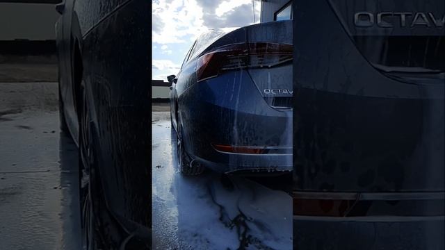 Skoda: Минута Чистоты (2023)