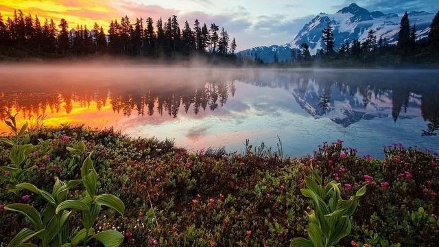 Мир, которого нет смотреть онлайн