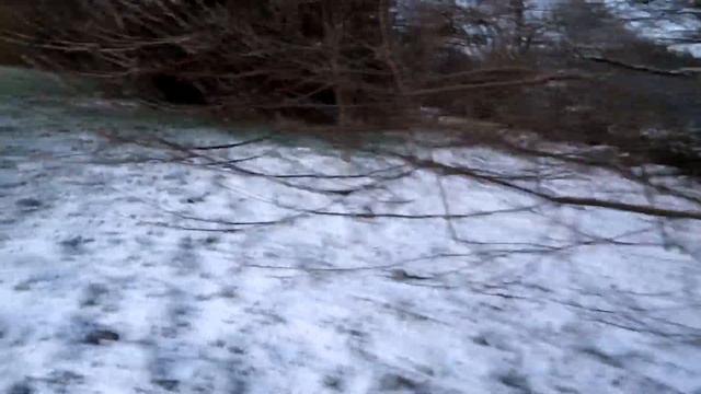 Up date on recent Vlog No Dog Training смотреть онлайн