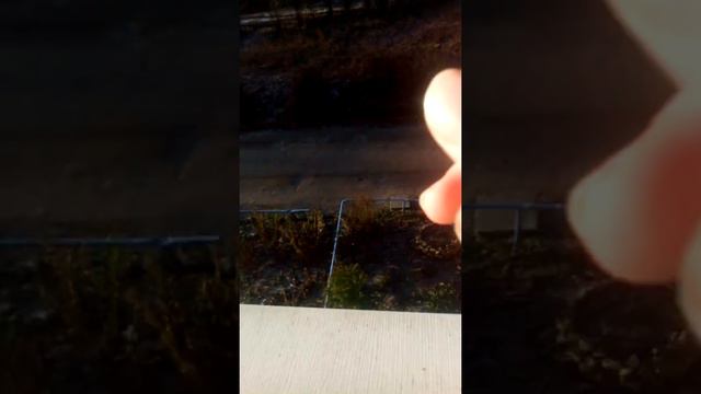 Наша улица смотреть онлайн