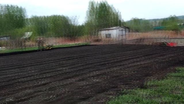 ТЕСТИРУЮ МОТОБЛОК DENZEL/ Дачные будни/ Вспашка Мотоблоком  DENZEL/Замена масла в Mazda Titan/Шашлы