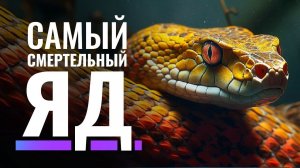 Биология Самого Летального Яда в Животном Мире
