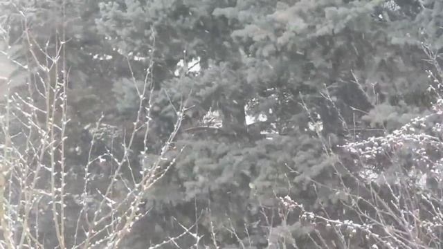 The Disappearance of Randy Charles Spring смотреть онлайн
