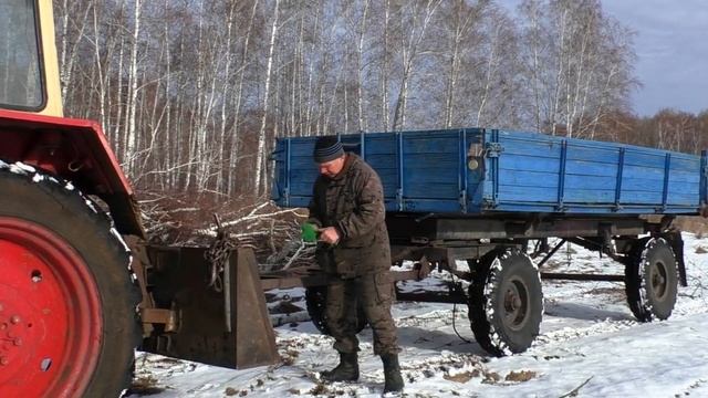 Как выгоднее купить дрова или пилить в дальнобой на тракторе смотреть онлайн
