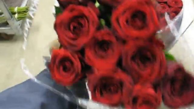 Rosa red naomi importadas de holanda смотреть онлайн
