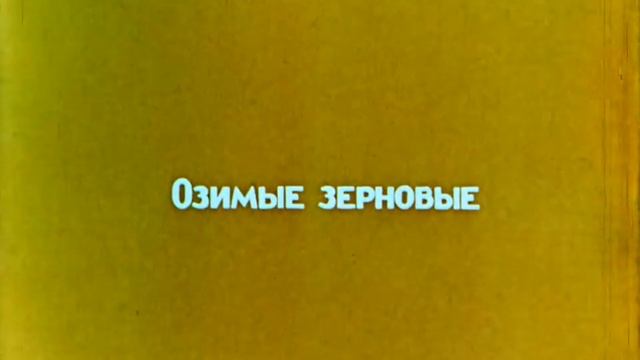 Севооборот