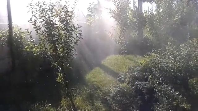 Самый простой и дешёвый мелкодисперсный полив. Туман. смотреть онлайн