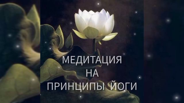 Медитация Школы Открытой Йоги на Принципы Йоги смотреть онлайн