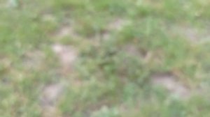 Какую ножовку по дереву выбрать. Клаcсная ножовка для роботы