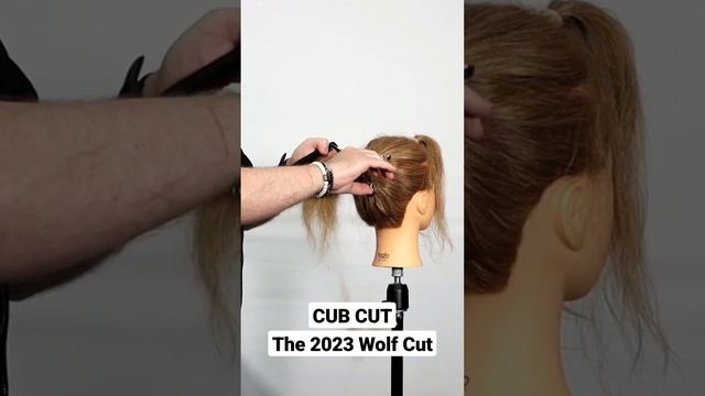 BIGGEST haircut trend 2023 2024 The CUB CUT is the new WOLF CUT смотреть онлайн