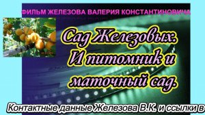 Сад Железовых. И питомник и маточный сад.