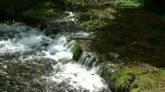 "Колечко" - исп.ансамбль "Хорошее настроение" ( Мучкап.) смотреть онлайн