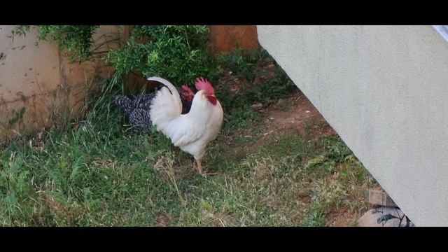 Обычный будний день. Температура воздуха +30
Закат солнца. Вечерний город.