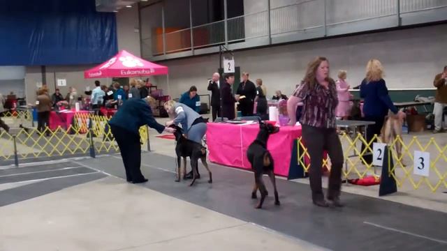 Monica & Sovereign Ruler Vom Dobereich смотреть онлайн