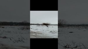Ностальгия по прошедшей молодости !