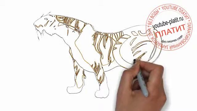 Как нарисовать карандашом тигра из мультфильма про Маугли смотреть онлайн