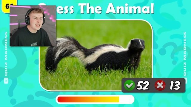 GUESS 120 Animals in 3 Seconds | Easy, Medium, Hard, Impossible смотреть онлайн