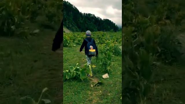Спуск от озера Орленок Архыз смотреть онлайн